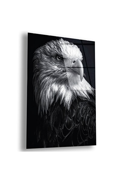 Zevahir Mobilya Dekorasyon Kırılmaz Cam Kartal Tablo