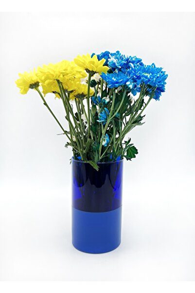 ÖzcamKristal Tek Parça Renkli Dekoratif Vazo