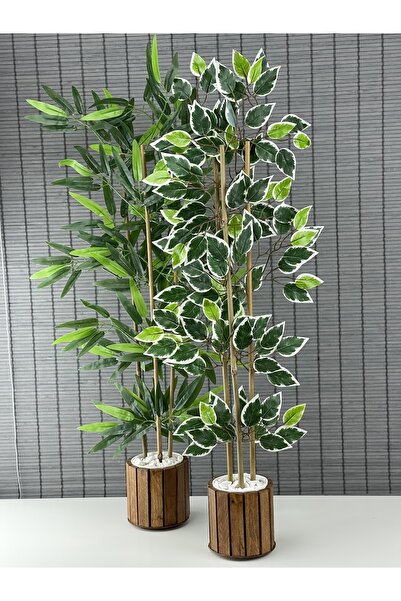 Bahçem Ahşap Saksılı Yapay Benjamin Ağacı 110cm Ve Yapay Bambu Ağacı 110cm Yoğun Yapraklı 2'li Dekor