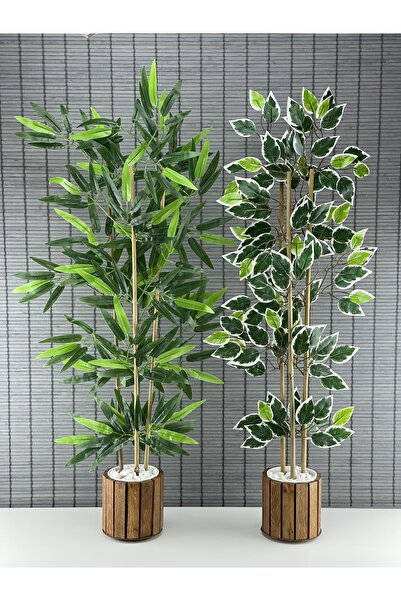 Bahçem Ahşap Saksılı Yapay Benjamin Ağacı 110cm Ve Yapay Bambu Ağacı 110cm Yoğun Yapraklı 2'li Dekor