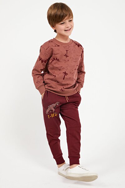 ROLY POLY Rolypoly T-rex Kahve Erkek Çocuk Polar Eşofman Takım