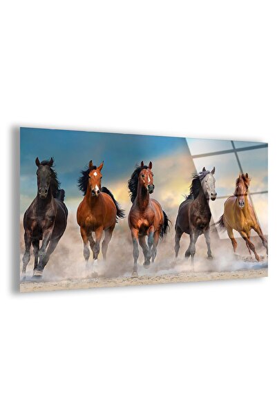 Zevahir Mobilya Dekorasyon Kırılmaz Cam At Tablo