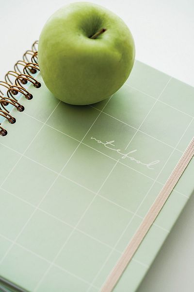Matt Notebook دفتر ملاحظات مقاس A5 مقاس 15x21 سم ومبطن ومرن وغير مؤرخ باللون الأخضر