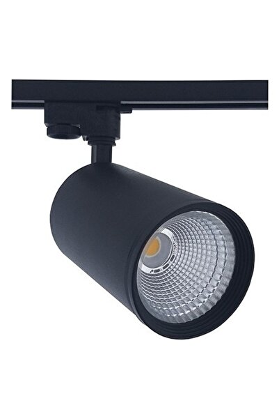 Forest 30w Siyah Kasa Günışığı Ray Spot