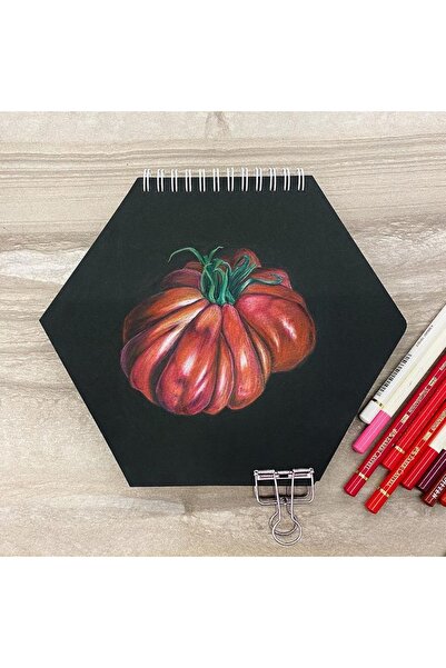 Poli Art Design كراسة رسم سداسية مع حلزون أسود - كراسة رسم سداسية للوسائط الم...