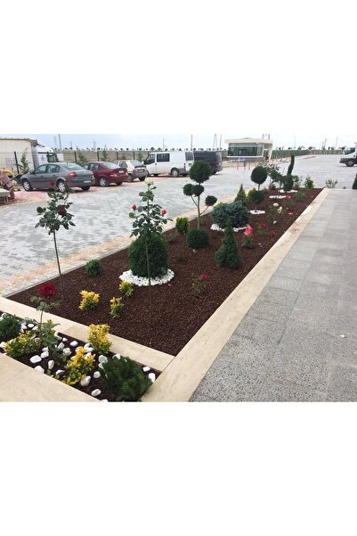 Asenya Kırmızı Pomza Taşı 15-25 Mm 10 Kg Volkanik Ponza Lav Taşı Ponza Kaktüs...