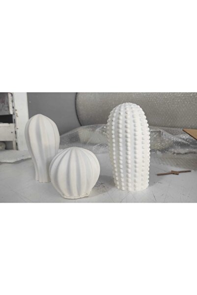 BERCİS Dekoratif 3’lü Kaktüs