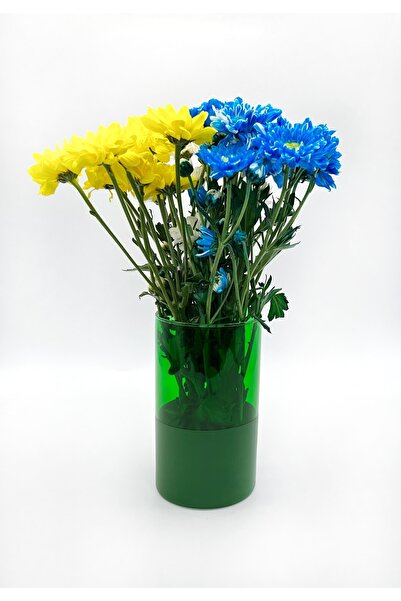 ÖzcamKristal Tek Parça Renkli Dekoratif Vazo