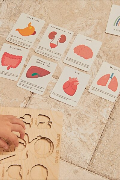ESLENTA English and Turkish Learning Cards
