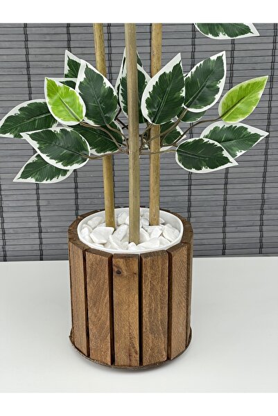 Bahçem Ahşap Saksılı Yapay Benjamin Ağacı 110cm Ve Yapay Bambu Ağacı 110cm Yoğun Yapraklı 2'li Dekor