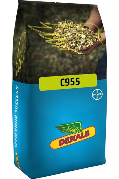 DEKALB C955 Silajlık Mısır Tohumu 50.000 Adet