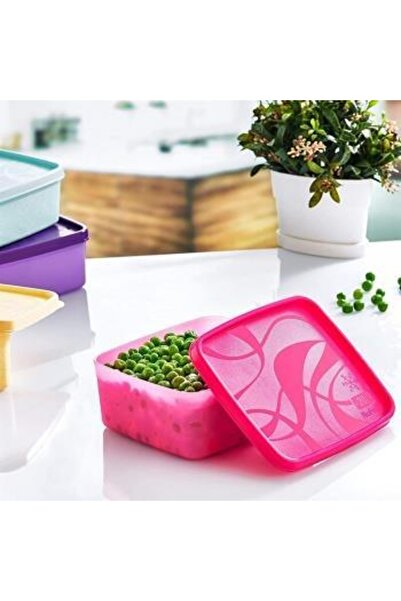 PlastArt Deep Freezer Food Container Set of 4