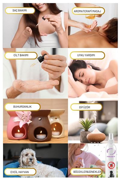 Lavendrose 3 قطع زيت اللافندر 100% نقي وطبيعي - موازنة النوم والإجهاد