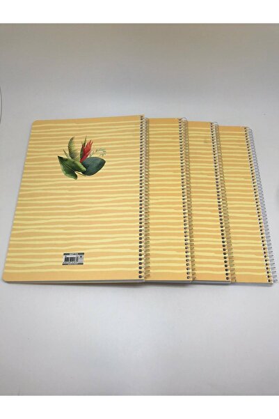 Gıpta Gıpta Morning Spiral Copertă din carton A4 80 coli Caiet în carouri Set de 4