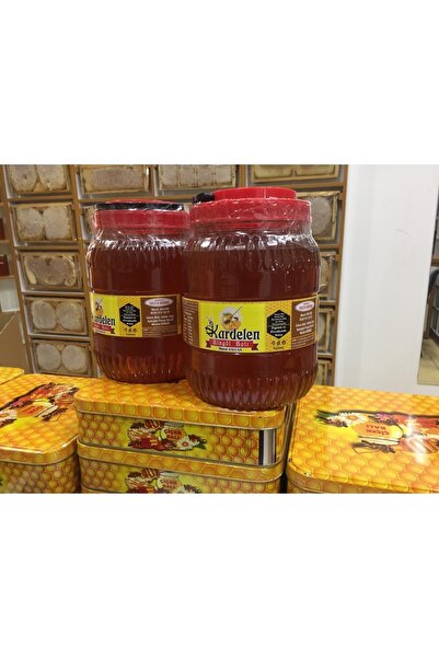 Bingöl Balı 3 Kg Süzme