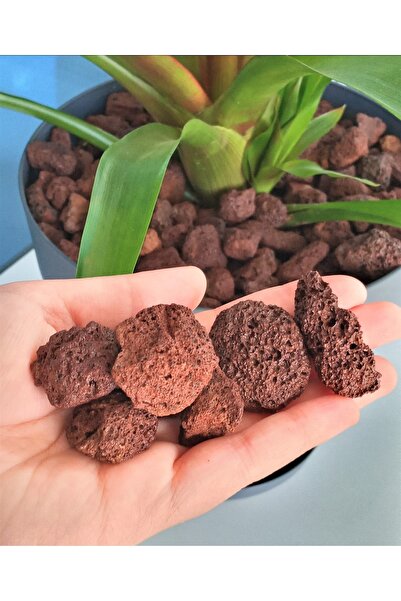 Asenya Dekoratif Pomza Taşı 3 Lt (1,50kg) 15-25 Mm Kırmızı Pomza Tarım Pomzas...