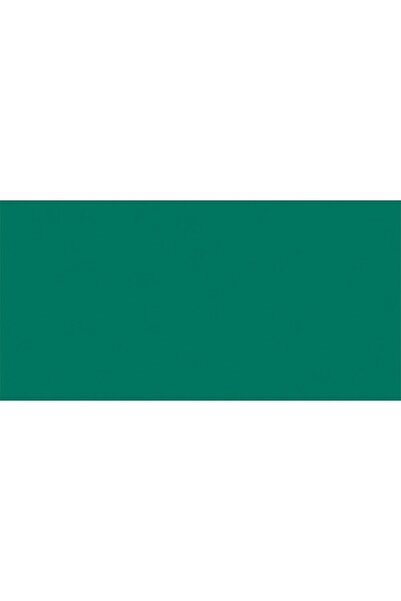 Tombow : Ab-t Dual Brush Pen Graphic Pen : Sea Green 346