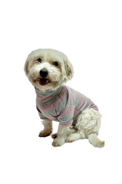 DOGİ&DOG Küçük Irk Pınk Boğazlı Triko Kedi & Köpek Kazağı (1 Kg -10 Kg)