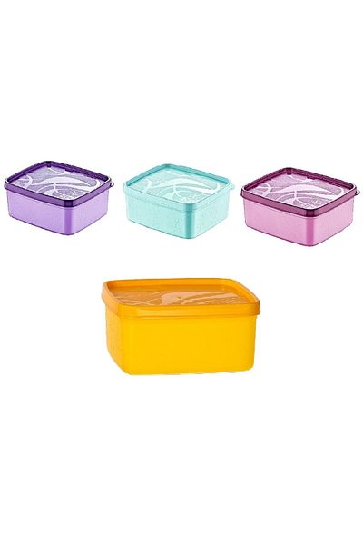 PlastArt Deep Freezer Food Container Set of 4