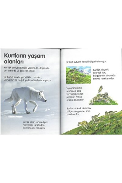 Tübitak Yayınları Tübitak Popüler Bilim Ilk Okuma Kitapları 45 Kitap Set (7+ Yaş)