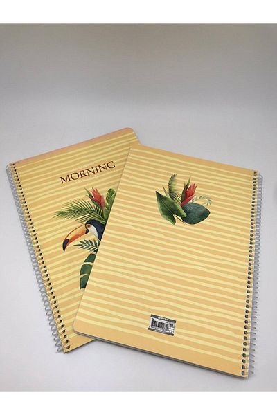 Gıpta Morning Spiral Cardboard Cover A4 80 Sheets Checked Notebook Set of 2