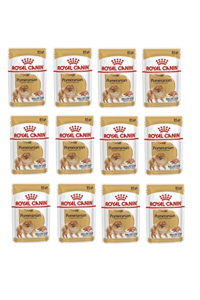 Royal Canin Pomeranian Köpek Yaş Mama 85 Gr. X 12 Adet