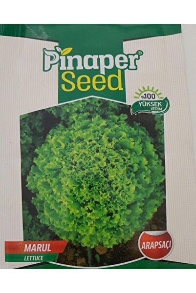 Ekodoğa Marul Tohumu 1 Paket Arapsaçı Kıvırcık Tohumu Sebze Tohumu Sebze Tohu...