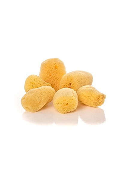 BAZAAR 4 100% Natural Baby Size Silk Sea Sponge 4-5 gr
