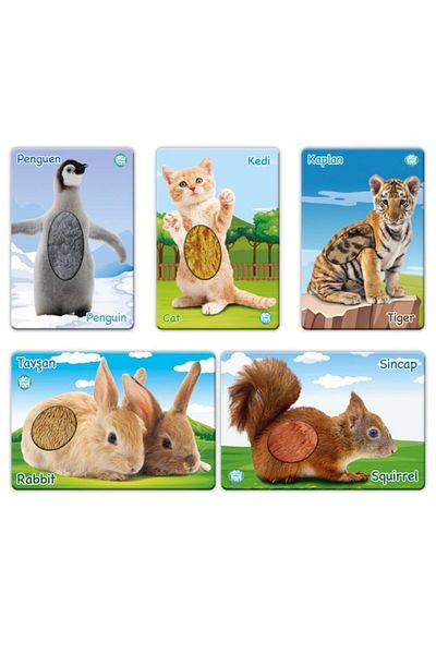 Circle Toys بطاقات الذكاء لعمر 0-3 سنوات، اللمس، الشعور، بطاقات التدريب على التشخيص، حيوانات الأطفال