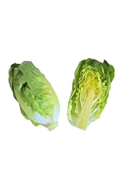 Erüst Tarım Mini Yedikule (Baby Coslettuce)