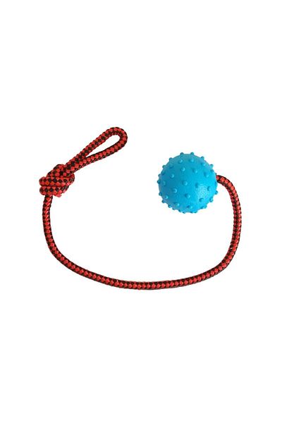 Mixpet Dog Tooth Floss Bulk 45 cm