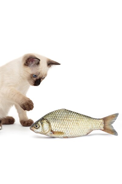 Bundera Sazan Büyük Boy Bez Balık Kedi Oyuncağı Kedi Otu Dolgulu Lw-09 Kedi Y...