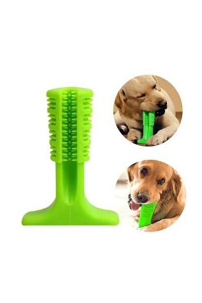 Enpatili Köpek Diş Temizleyici Oyuncak Diş Kaşıyıcı Büyük Boy L Diş Fırçası