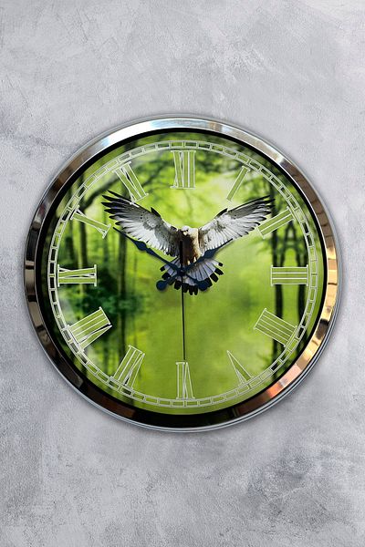 Kasva Concept Δώρο Ρολόι τοίχου 40 εκ. Chrome Metal Eagle