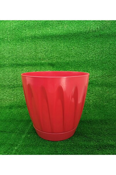 Doğalsan Tarım Papatya Saksı 6 Litre 1 Adet Kırmızı Renk Bahçe Saksı Renkli Ç...