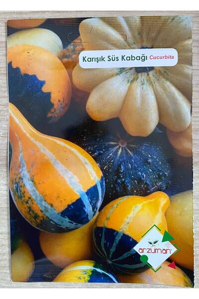 Arzuman Karışık Süs Kabağı Tohumu Cucurbita P. Mix (10 ADET)