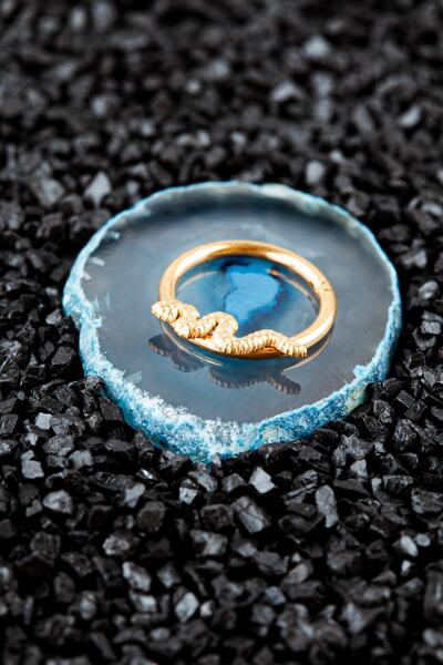 Genel Markalar Cerrahi Çelik Halka Yılan Piercing