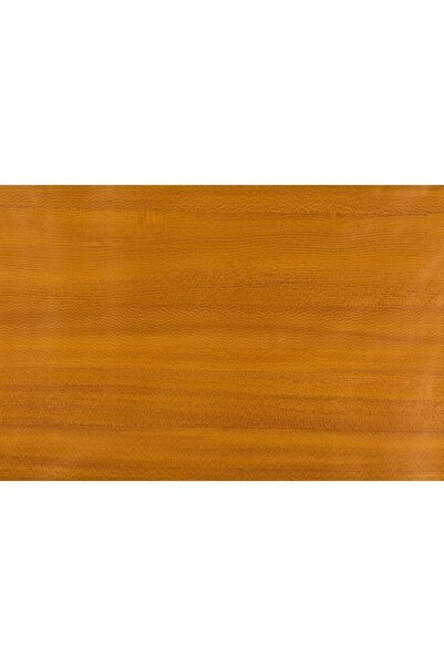 Bigpoint Yapışkanlı Folyo 2m Ağaç Desen No:25