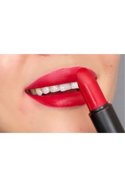 Pastel Smooth And Matte Profashion Lipstick No:552