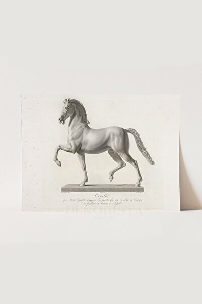 HOME DEKORİSTA Vintage Poster, Galeri Duvarı, Sanatsal Baskı, At Çizim, At Poster, Klasik Dekor, At Dekor