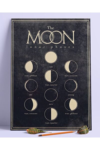 Buka Shops Siyah The Moon Duvar Posteri Dev Boy 45x30 Cm