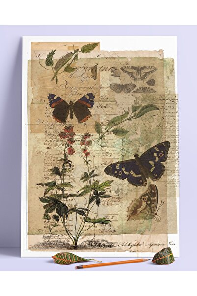 Buka Shops Eskitme Kelebek Duvar Posteri Dev Boy 45x30 Cm