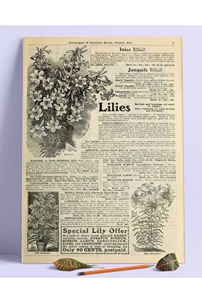 Buka Shops Lilies Duvar Posteri Dev Boy 45x30 Cm