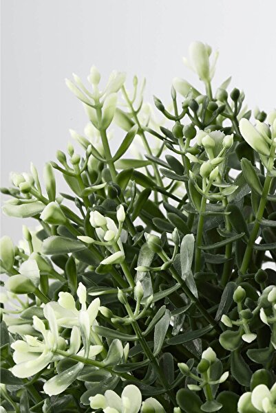 IKEA Fejka Yapay Saksı Bitkisi