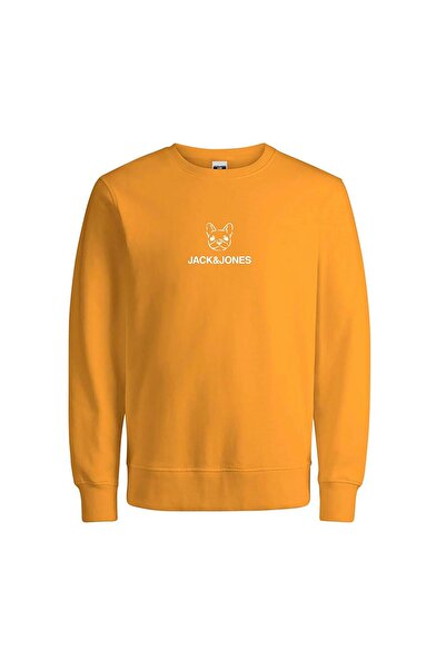 Jack & Jones Erkek Bisiklet Yaka Sweatshirt