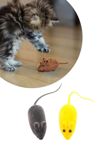 Buffer ®   2-Piece Pet Training Cute Elastic Cat Mouse Catch Interactive Voice Training Toy
