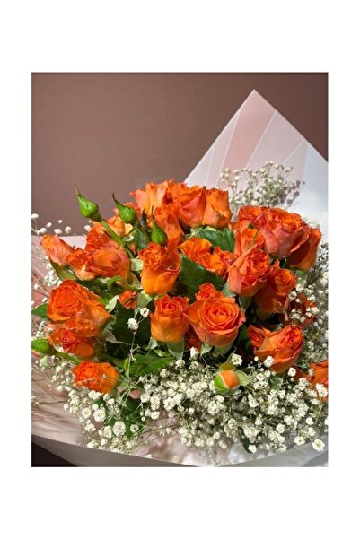 ruzgarbotanik Trandafir galben de grădină 150cm-200cm