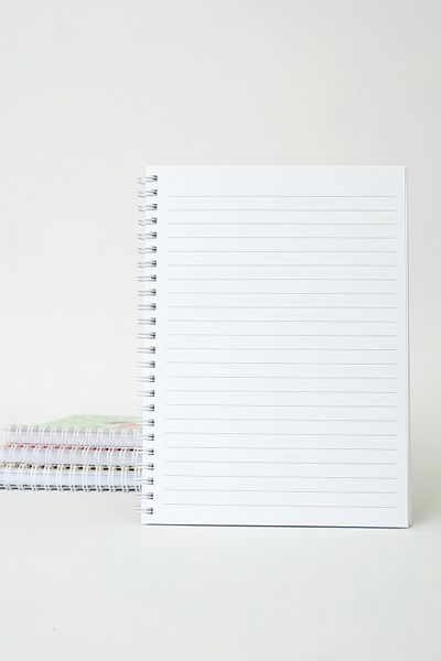 paperlab A5 Hello Cat Striped Spiral Notebook