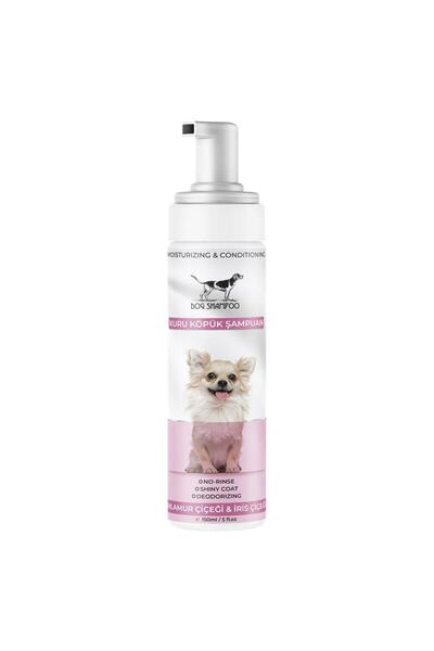 Catidea Cat Idea French Lemon Flower And White Rose Dry Shampoo For Cats - 10...