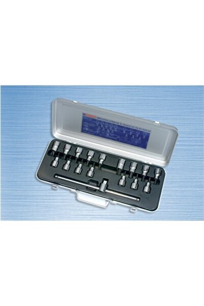 İzeltaş 1113 Lokmalı Allen Uç Ve Star (torx) Uç Takımı 17 Parça